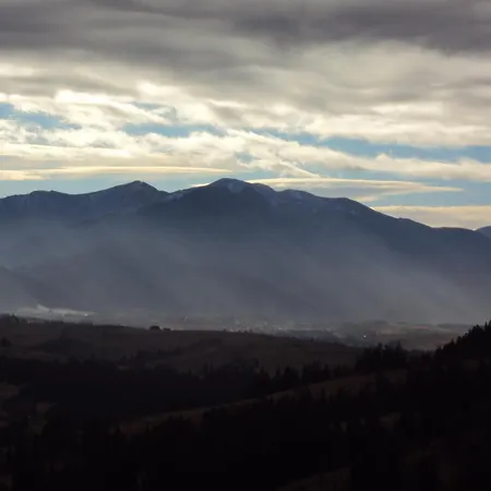 Goscinne Kaminscy Проживание в семье