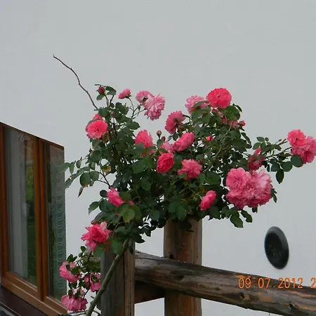 Goscinne Kaminscy منزل للإقامة Gliczarów