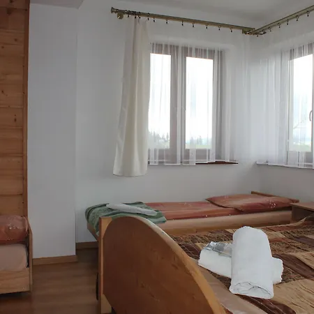 Goscinne Kaminscy Проживание в семье *