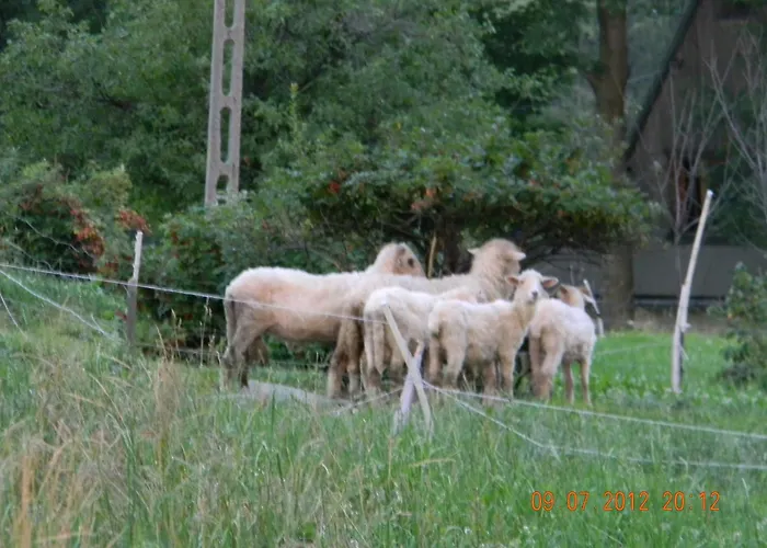 Goscinne Kaminscy Accommodatie bij particulieren